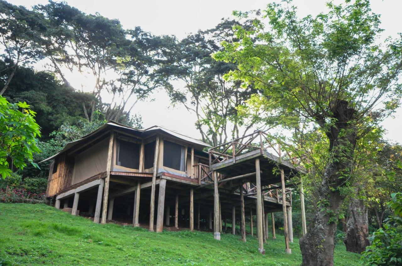 Karama Lodge Arusha Luaran gambar